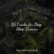 35 Tracks for Deep Sleep Dreams