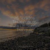 25 Sonidos Terapéuticos Para Un Sueño Tranquilo