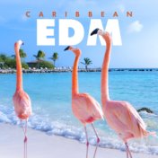 Caribbean EDM