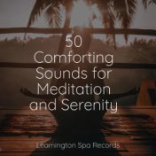 50 Comforting Sounds for Meditation and Serenity
