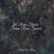 80 Rain Tracks: Serene Rain Sounds