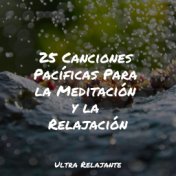 25 Canciones Pacíficas Para la Meditación y la Relajación