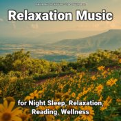 Relaxation Music for Night Sleep, Relaxation, Reading, Wellness