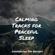 Calming Tracks for Peaceful Sleep