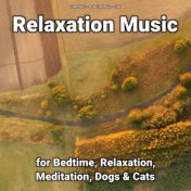 Relaxation Music for Bedtime, Relaxation, Meditation, Dogs & Cats