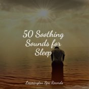 50 Soothing Sounds for Sleep