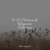 # 25 Música de Relajación Definitiva