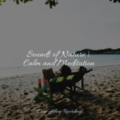 Sounds of Nature | Calm and Meditation