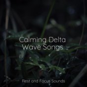 Calming Delta Wave Songs