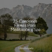 25 Canciones Firmes Para Meditación y Spa