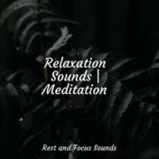 Relaxation Sounds | Meditation