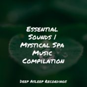 Essential Sounds | Mystical Spa Music Compilation