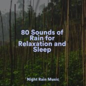 80 Sounds of Rain for Relaxation and Sleep