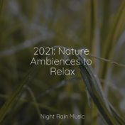 2021: Nature Ambiences to Relax