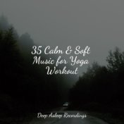 35 Calm & Soft Music for Yoga Workout