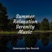 Summer Relaxation Serenity Music