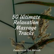 50 Ultimate Relaxation Massage Tracks
