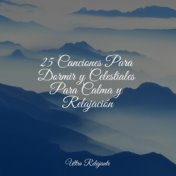 25 Canciones Para Dormir y Celestiales Para Calma y Relajación