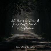 35 Tranquil Sounds for Meditation & Meditation