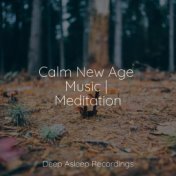 Calm New Age Music | Meditation