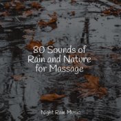 80 Sounds of Rain and Nature for Massage