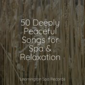 50 Deeply Peaceful Songs for Spa & Relaxation