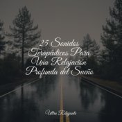 25 Sonidos Terapéuticos Para Una Relajación Profunda del Sueño