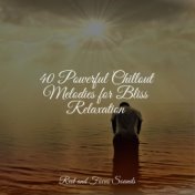 40 Powerful Chillout Melodies for Bliss Relaxation