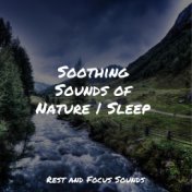 Soothing Sounds of Nature | Sleep