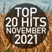 Top 20 Hits November 2021 (Instrumental)