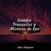 Sonidos Tranquilos y Místicos de Spa