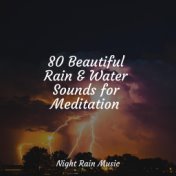 80 Beautiful Rain & Water Sounds for Meditation