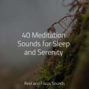 40 Meditation Sounds for Sleep and Serenity