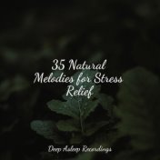 35 Natural Melodies for Stress Relief