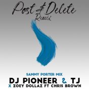 Post & Delete (Sammy Porter Mix)