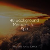 40 Background Melodies for Spa