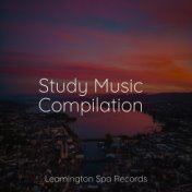 Study Music Compilation