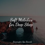 Soft Melodies for Deep Sleep