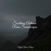 Soothing Autumn Rain Soundscapes
