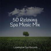 50 Relaxing Spa Music Mix