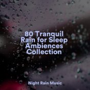 80 Tranquil Rain for Sleep Ambiences Collection