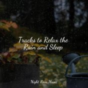 Tracks to Relax the Rain and Sleep