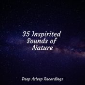 35 Inspirited Sounds of Nature