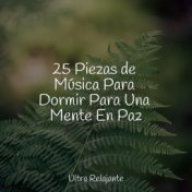 25 Piezas de Música Para Dormir Para Una Mente En Paz