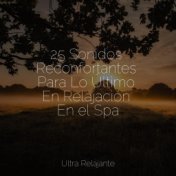 25 Sonidos Reconfortantes Para Lo Último En Relajación En el Spa