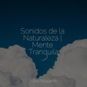 Sonidos de la Naturaleza | Mente Tranquila