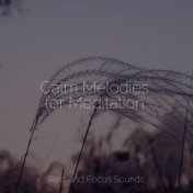 Calm Melodies for Meditation