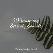 50 Warming Serenity Sounds