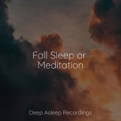 Fall Sleep or Meditation