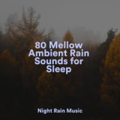 80 Mellow Ambient Rain Sounds for Sleep